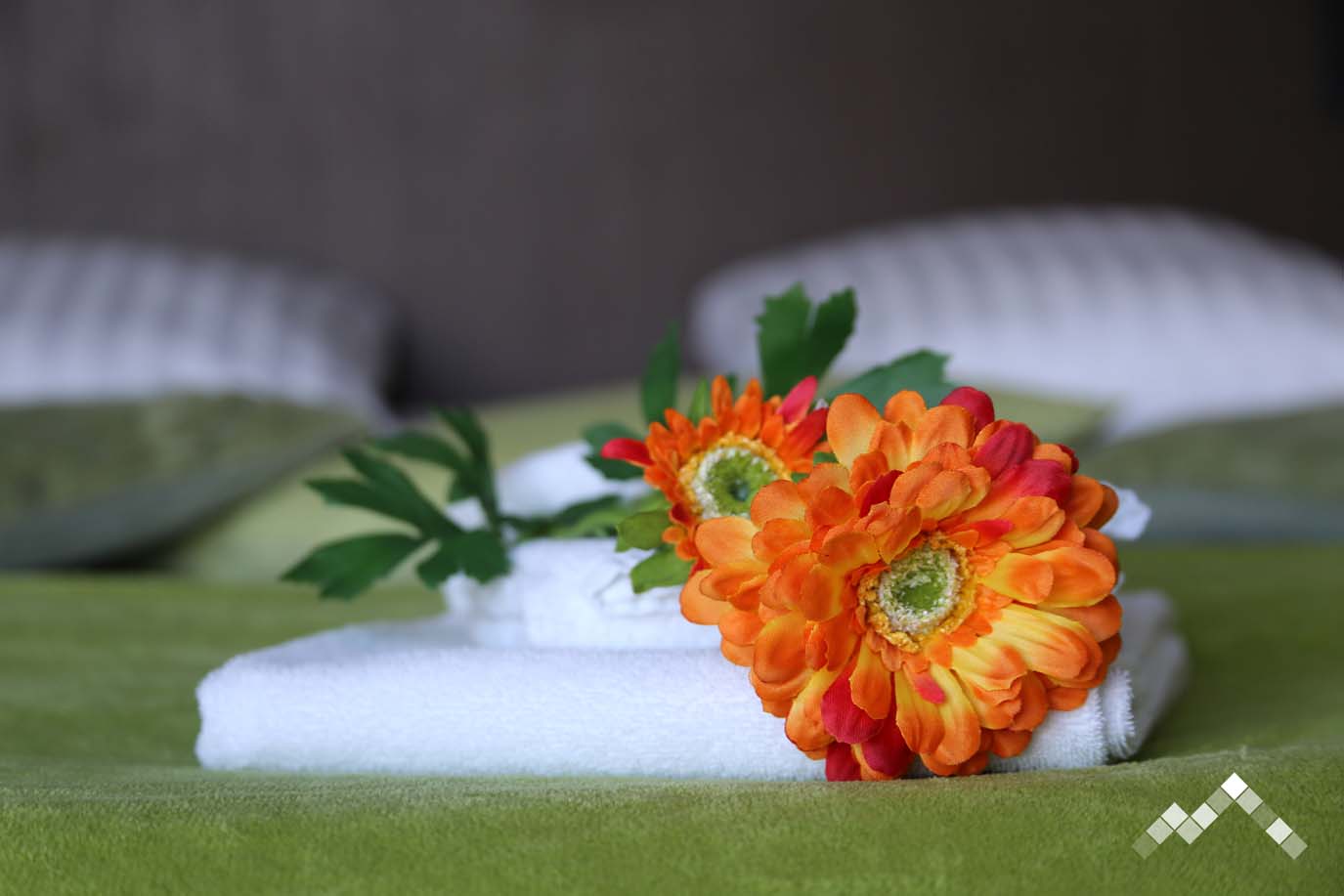 ENTRE EAU ET ROCHE-21